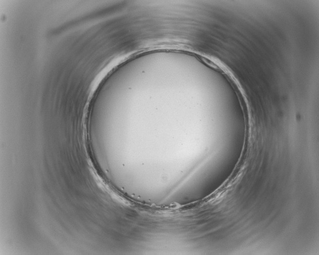 X0000053061341200508081144