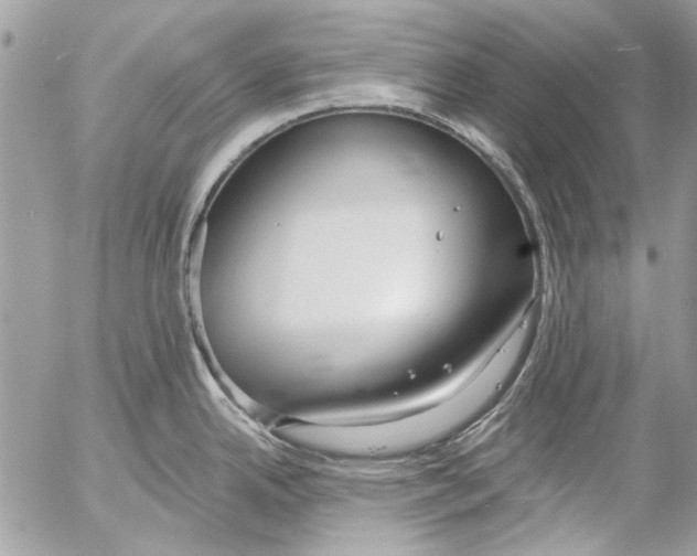 X0000053061342200508081144