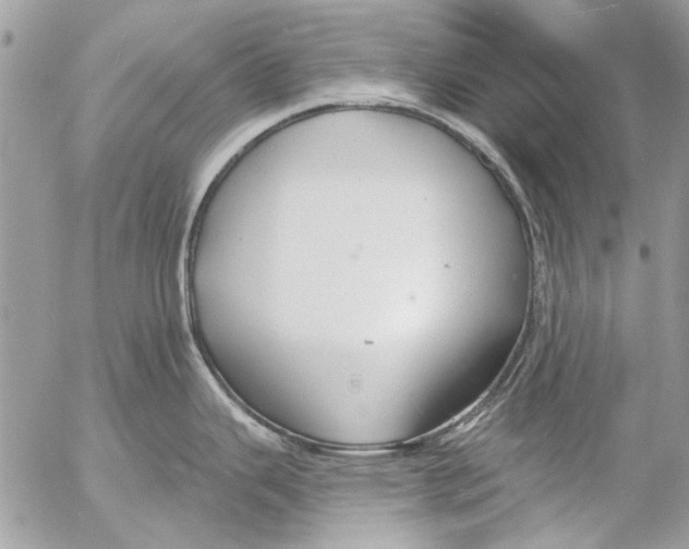 X0000053061343200508081144