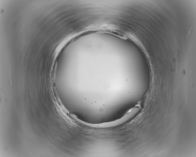 X0000053061344200508081144