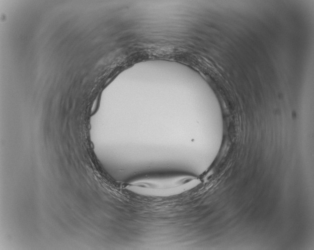 X0000053061345200508081143