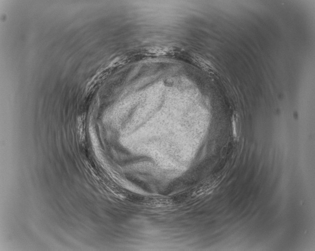 X0000053061347200508081143