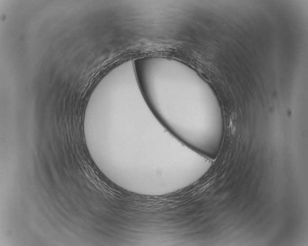 X0000053061348200508081143