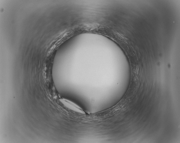 X0000053061349200508081143