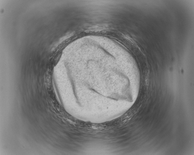 X0000053061350200508081143