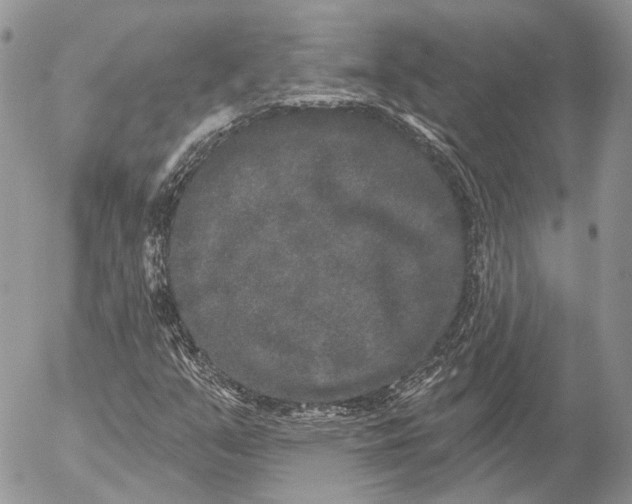 X0000053061351200508081143