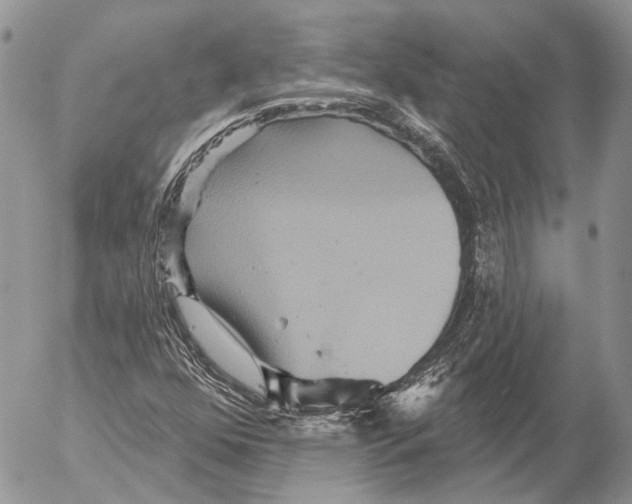 X0000053061352200508081143