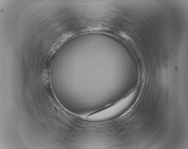 X0000053061353200508081143