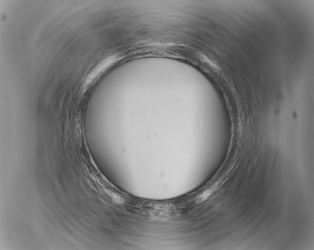 X0000053061354200508081143