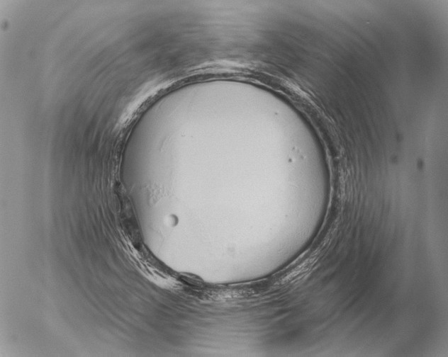 X0000053061355200508081143