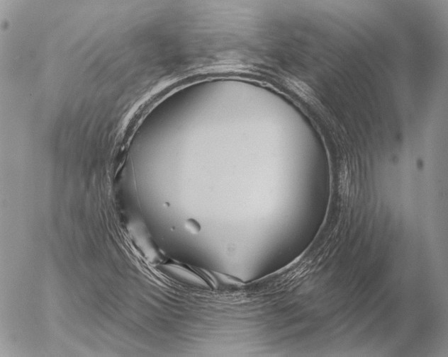 X0000053061356200508081143