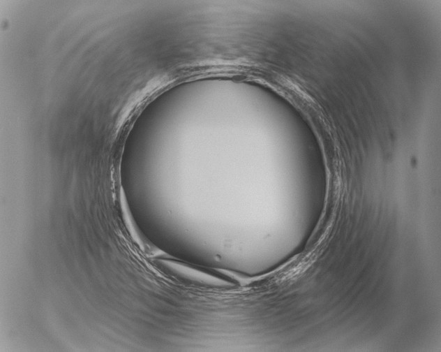 X0000053061357200508081143