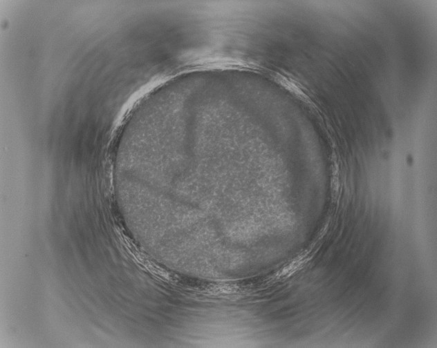 X0000053061358200508081143