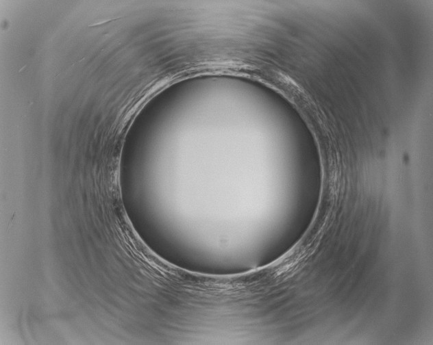 X0000053061361200508081143