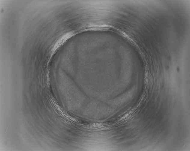 X0000053061362200508081143