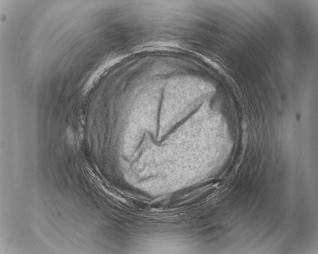 X0000053061363200508081143