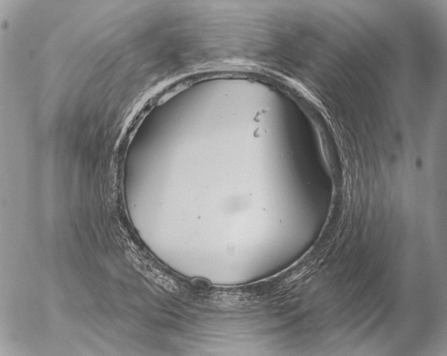 X0000053061364200508081143