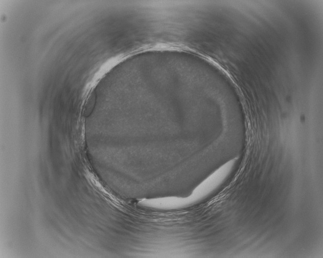 X0000053061367200508081143