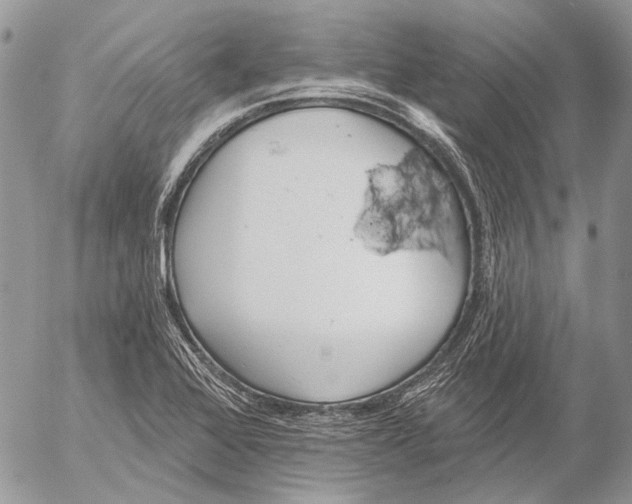 X0000053061368200508081143