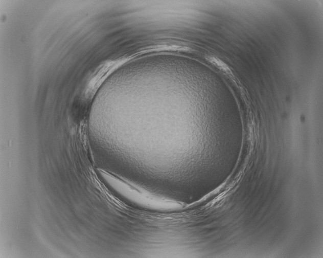 X0000053061369200508081143