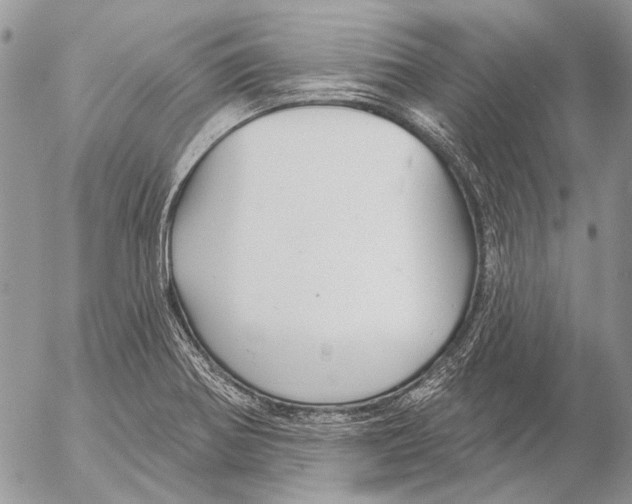 X0000053061370200508081143