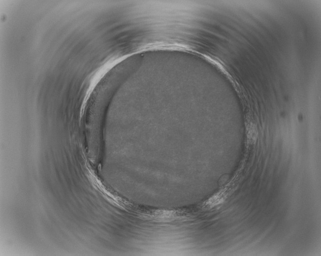 X0000053061371200508081143