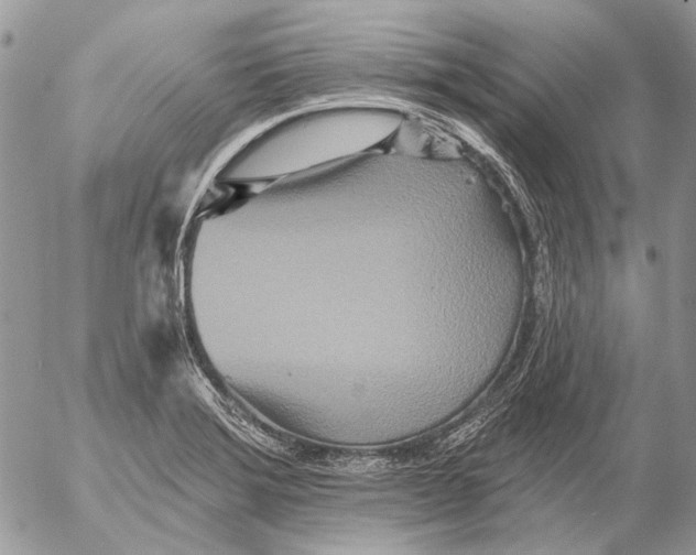 X0000053061372200508081143