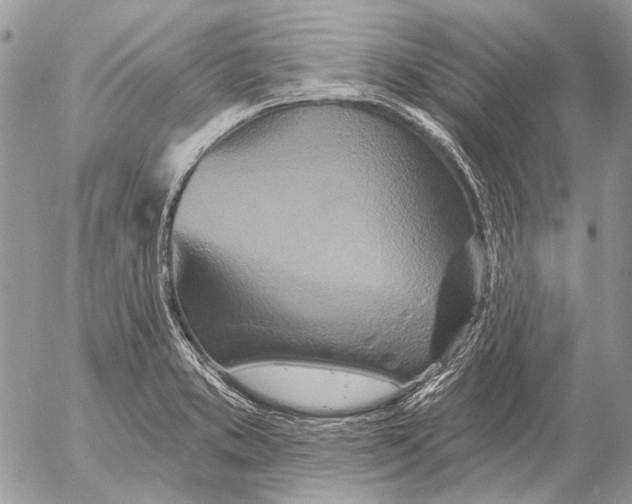 X0000053061373200508081143