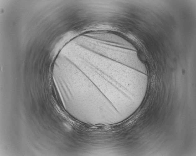 X0000053061374200508081143