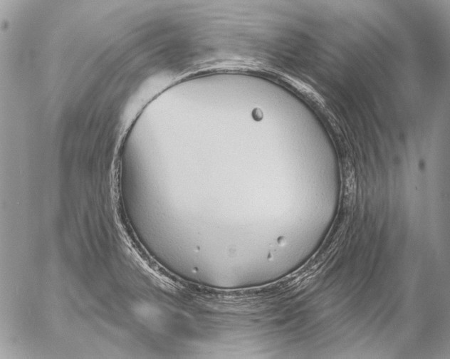 X0000053061375200508081143