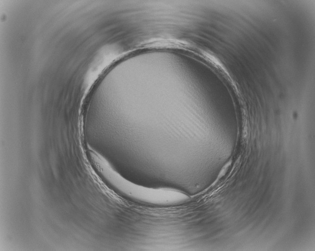 X0000053061376200508081143