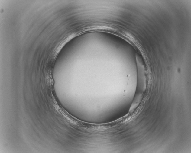 X0000053061377200508081143