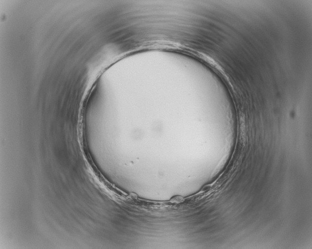 X0000053061379200508081143