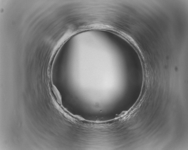 X0000053061381200508081143