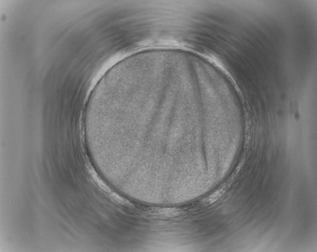 X0000053061382200508081143