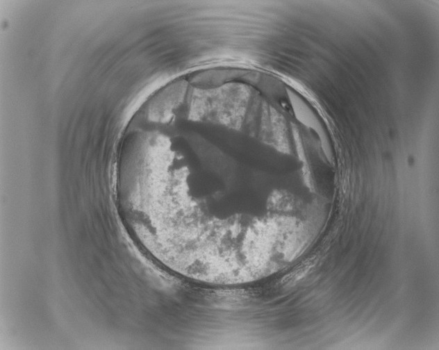 X0000053061383200508081143