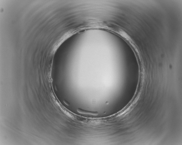 X0000053061385200508081143