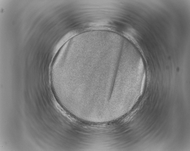 X0000053061386200508081143