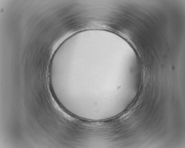 X0000053061387200508081143