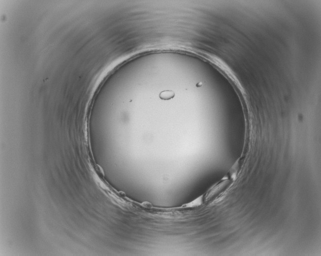 X0000053061388200508081143