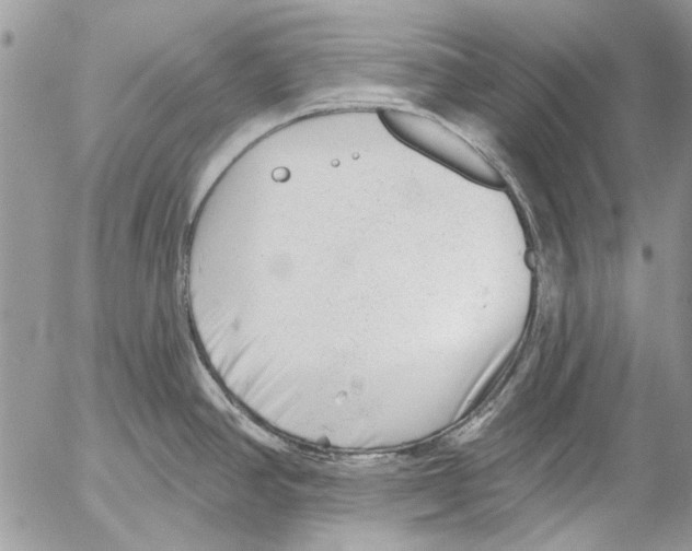 X0000053061390200508081143