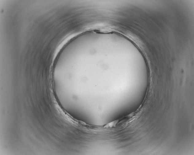 X0000053061392200508081143