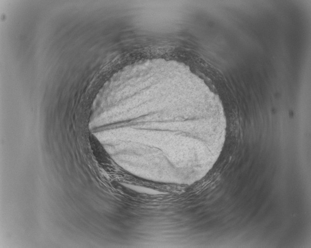 X0000053061393200508081142