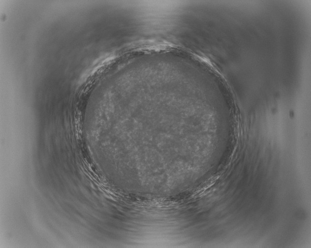 X0000053061399200508081142