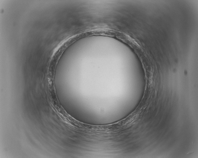 X0000053061400200508081142