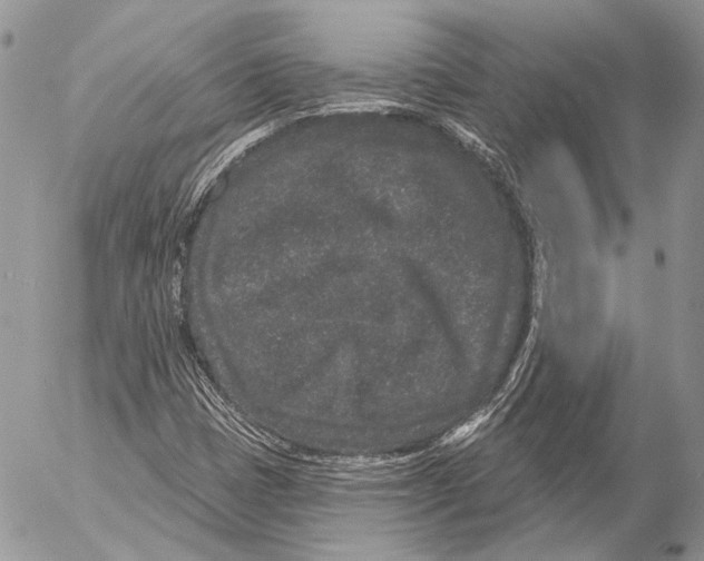 X0000053061401200508081142