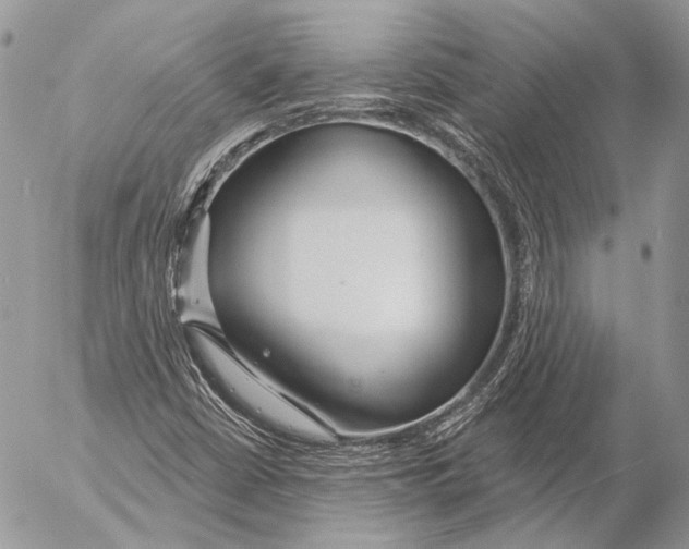 X0000053061402200508081142