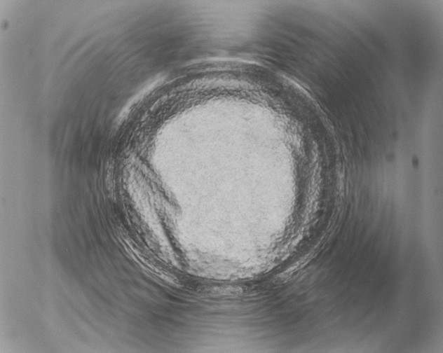 X0000053061403200508081142