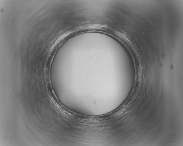 X0000053061404200508081142