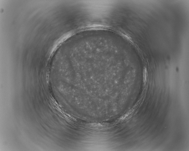 X0000053061405200508081142